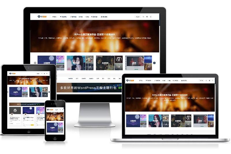 WordPress付费资源下载主题:ripro8.7最新破解版 WordPress付费资源下载主题:ripro8.7最新破解版