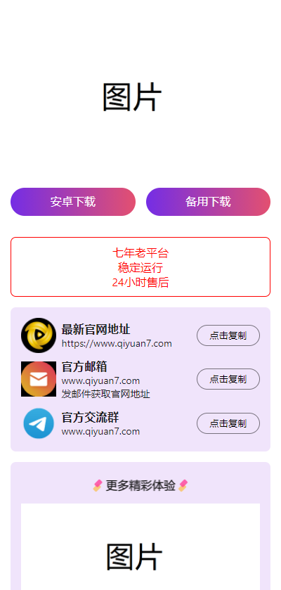 2024首发最火的软件宣传单页免费源码