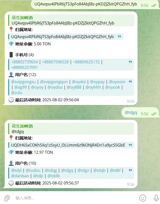Telegram机器人/NFT资产查询机器人源码/tg机器人源码/带视频搭建教程